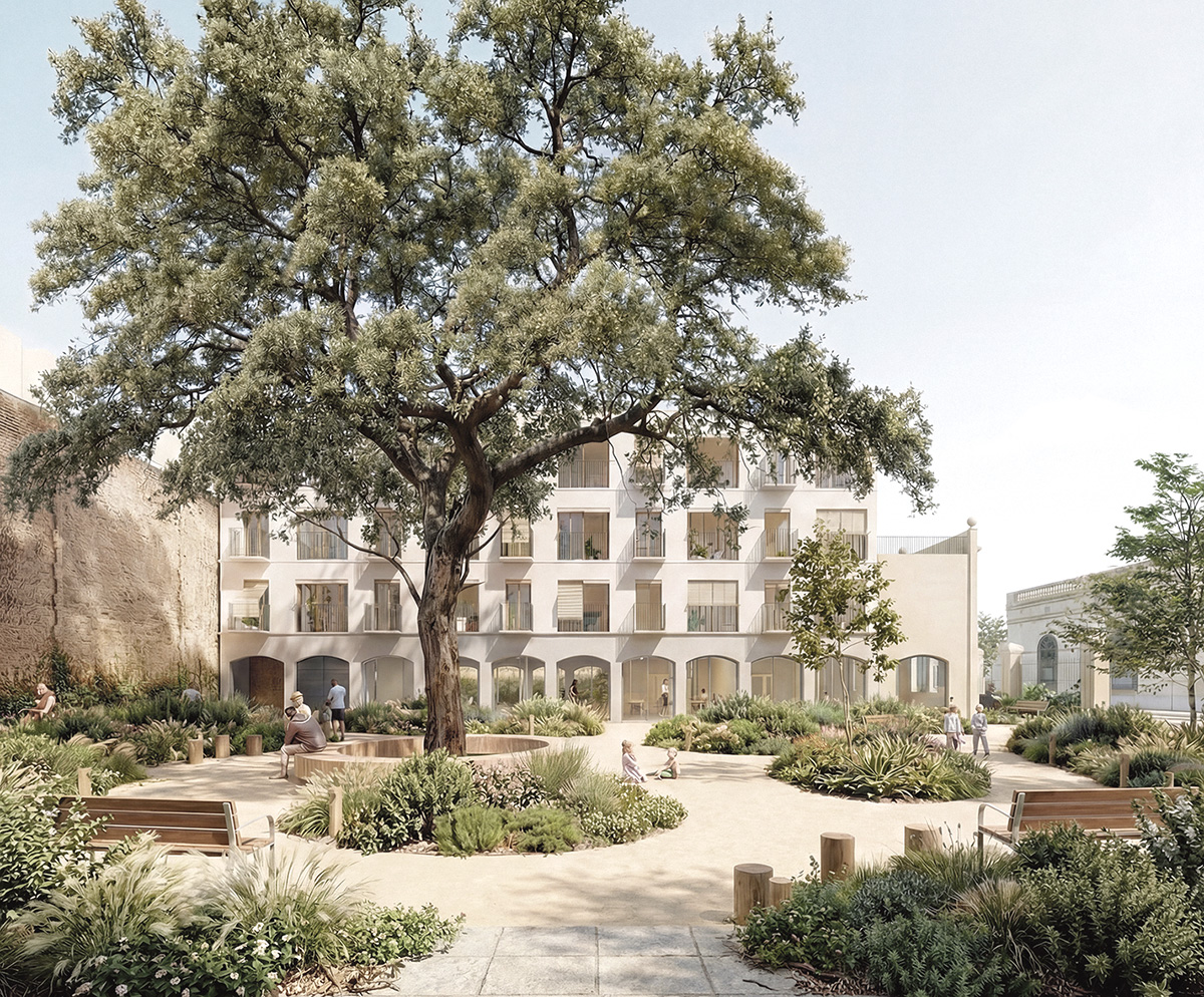 L’habitatge dotacional pot conviure amb l’alzina bicentenària de la Vila de Gràcia